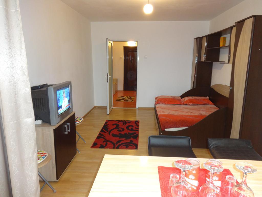 Alina Accommodation Galaţi Extérieur photo